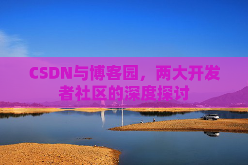 CSDN与博客园，两大开发者社区的深度探讨